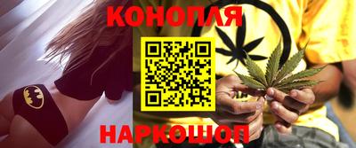 прущие грибы Будённовск