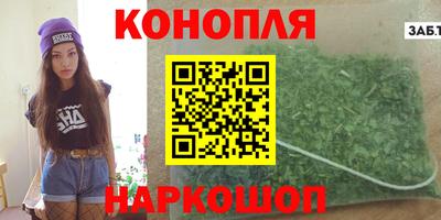 прущие грибы Будённовск