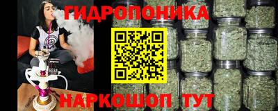 прущие грибы Будённовск