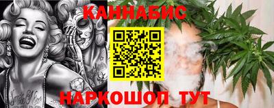 прущие грибы Будённовск