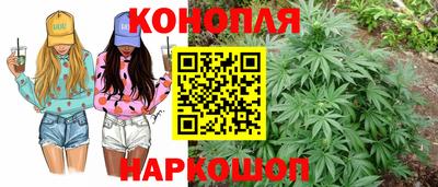 прущие грибы Будённовск