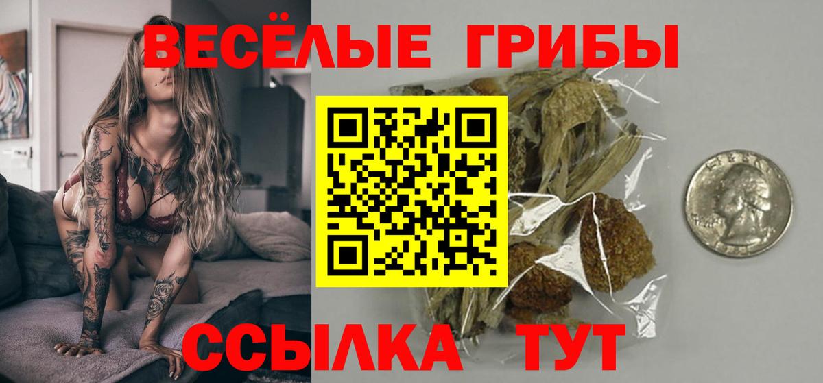 Рузаевка  Псилоцибиновые грибы ЛСД  Вход с VPN  Галлюциногенные грибы мухоморы 