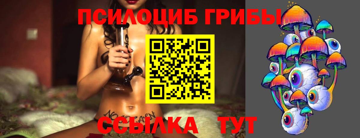 Галлюциногенные грибы Cubensis Рузаевка